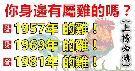 1981年五行屬什麼|【1981屬】1981屬雞帶你一秒看懂！五行缺什麼、運勢解讀一次。